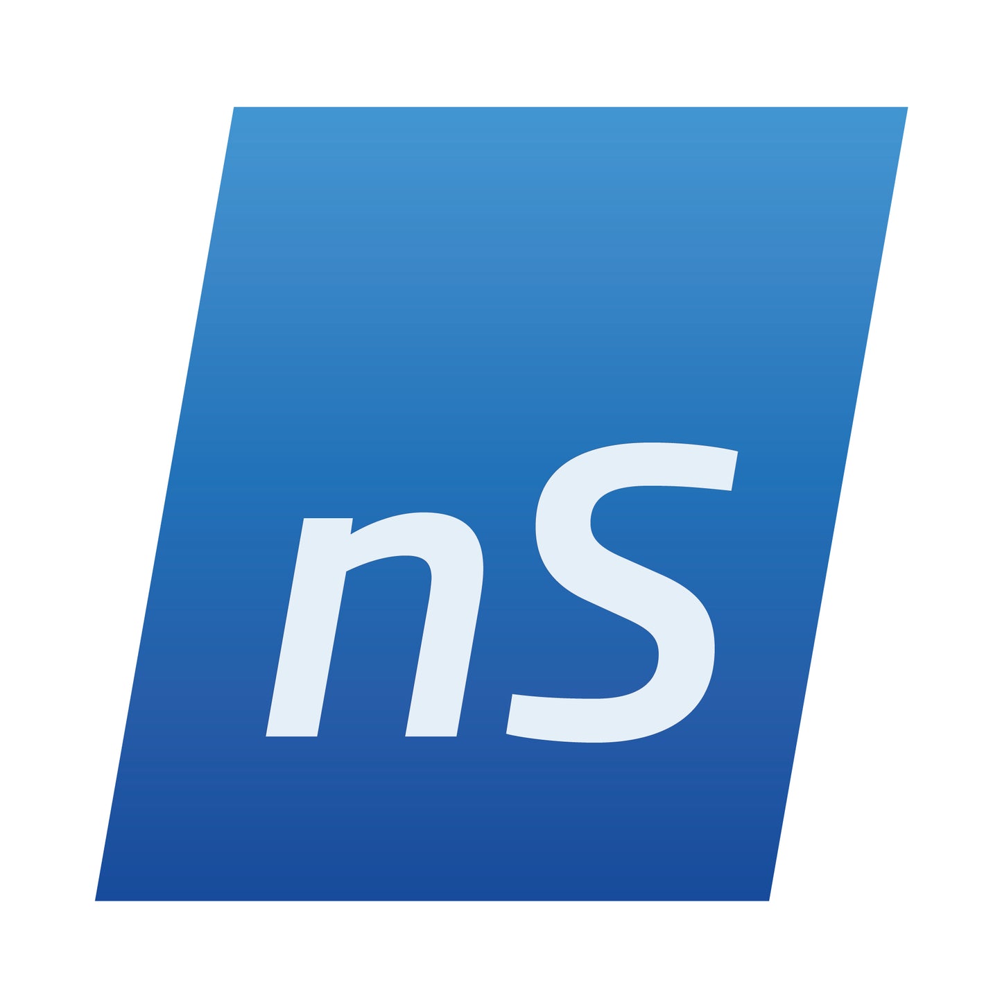 neoStampa RIP Software logo, featuring the white "nS" initials on a blue gradient square, representing the professional color management and driver software for DTF printing.