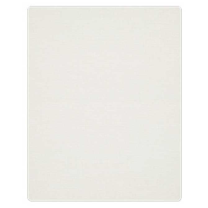 Epson SureColor F3070 Printer Platen Grip Pads