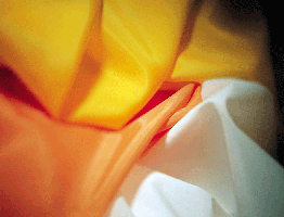 52" Wide Monofilament Mesh