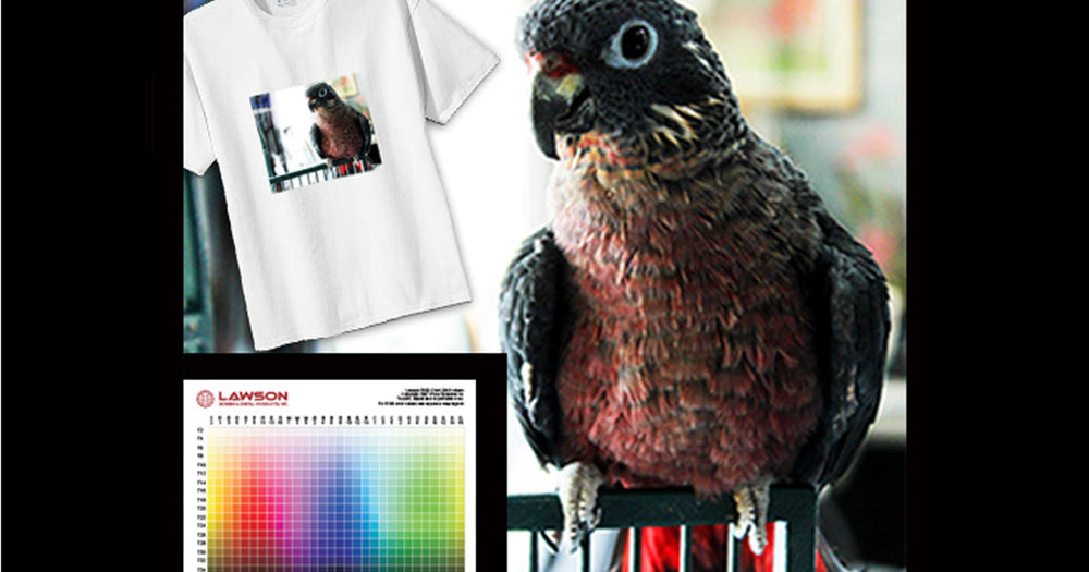 The Unlimited Colors of DTG Printing
