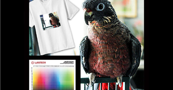 The Unlimited Colors of DTG Printing