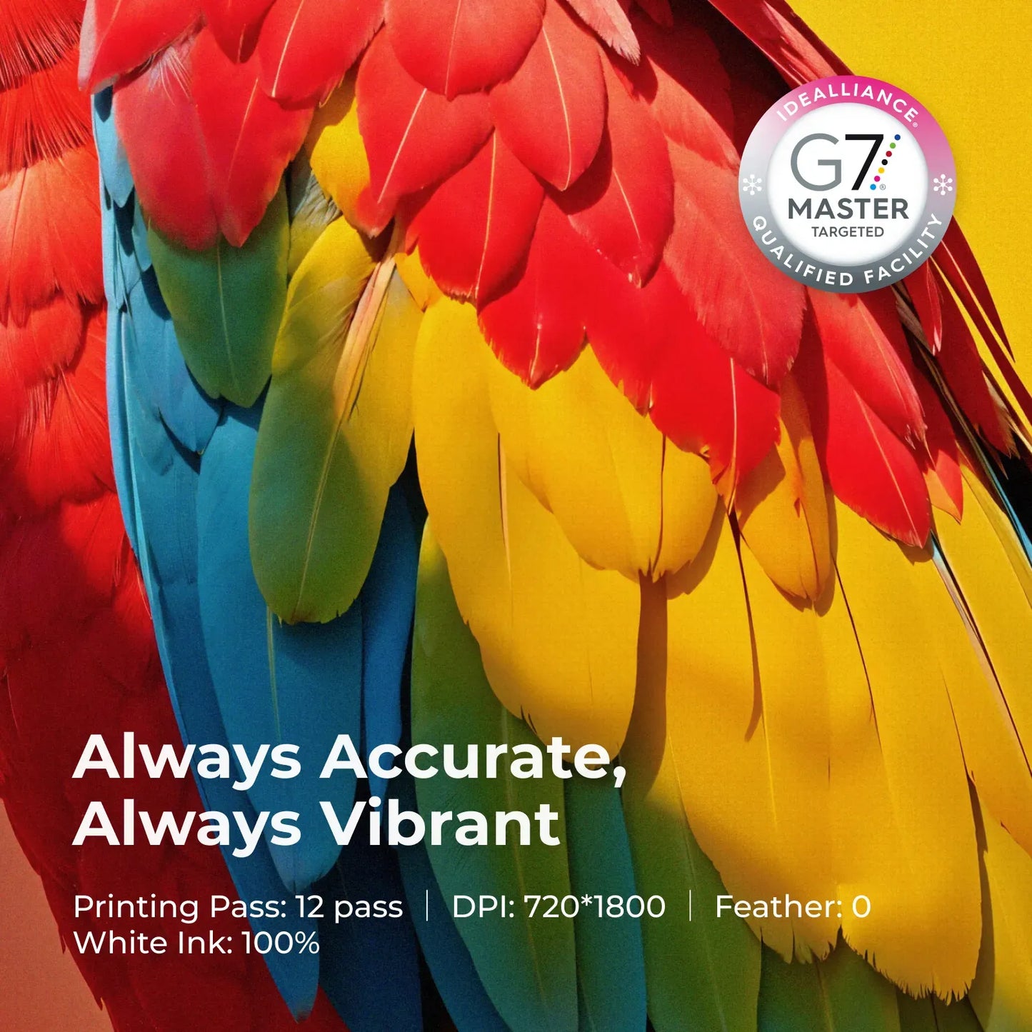 xTool DTF Apparel Printer - Accurate Vibrant Color